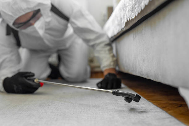 Professional Termite Control technician working in Pierce, NE