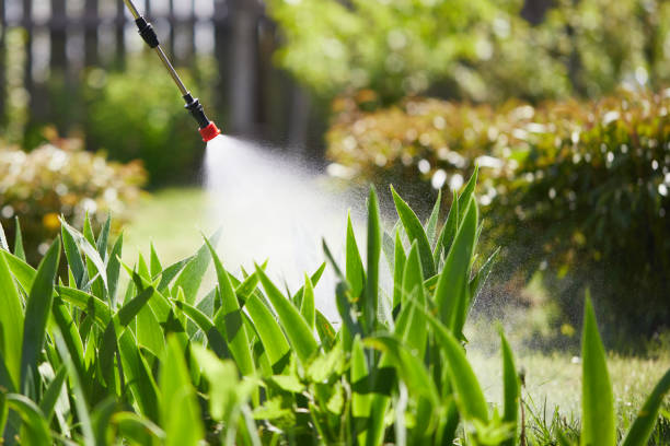 24/7 Emergency Termite Control experts in Pierce, NE