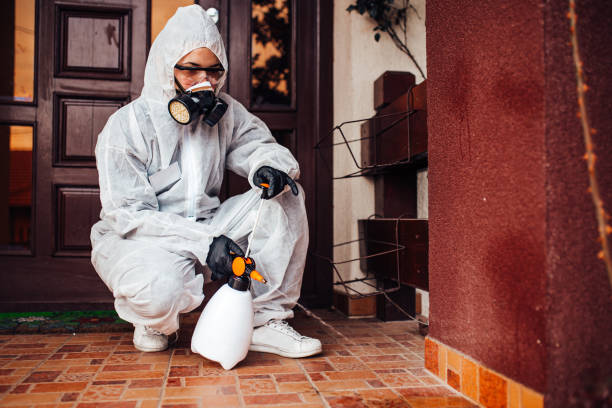 Reliable Termite Control contractor in Pierce, NE by Nex Pest Control